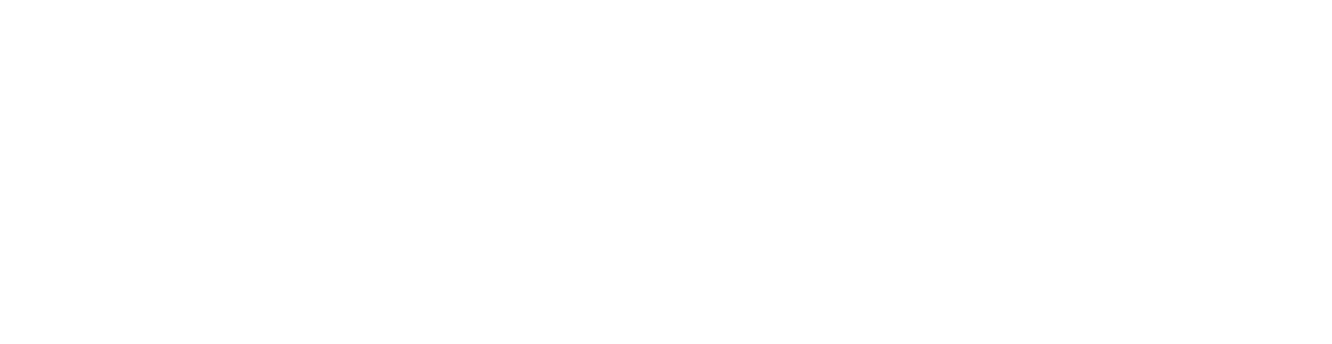 Hostini
